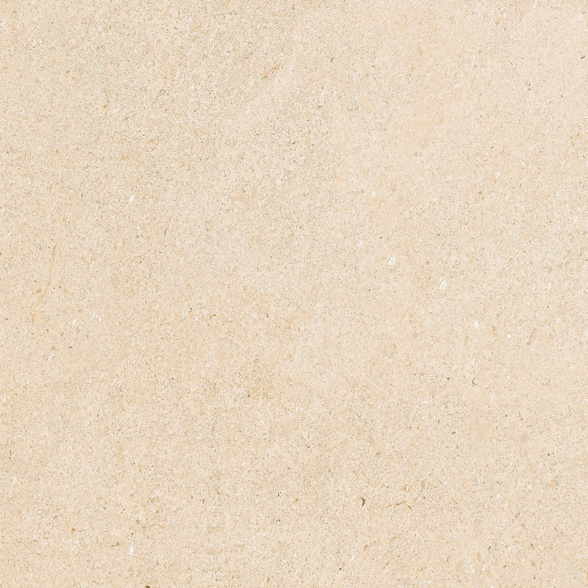 冠軍磁磚 Stone Neutrals G3020 米色乾粒